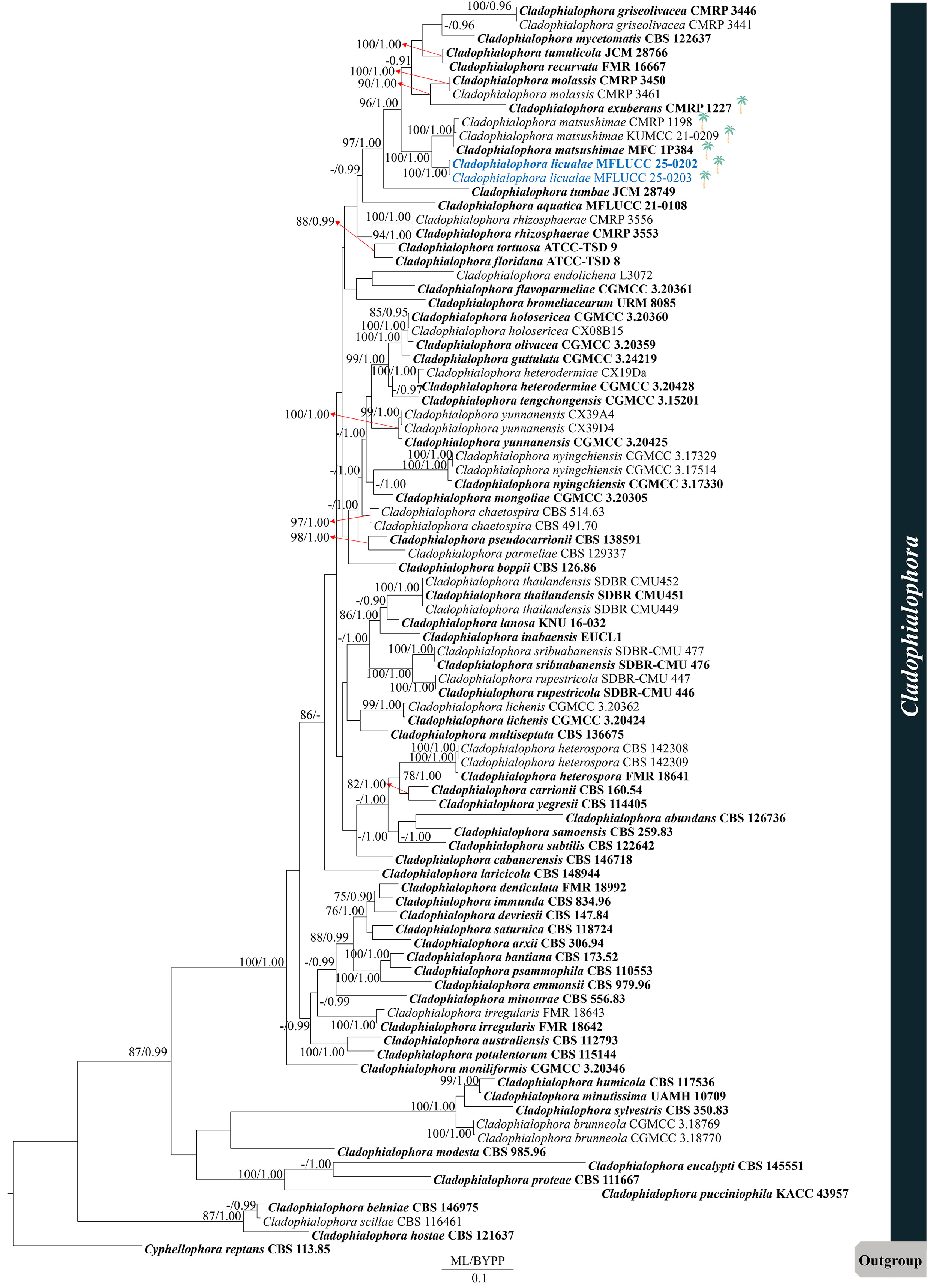 Figure 57